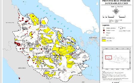 Lima Perusahaan Pelaku Karhutla Di Segel, Desakkan Pencabutan Izin Di Suarakan
