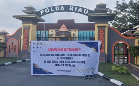 Perusahaan Sawit di Teluk Meranti Diduga Langgar Aturan, Publik Minta Pemerintah Bertindak Tegas