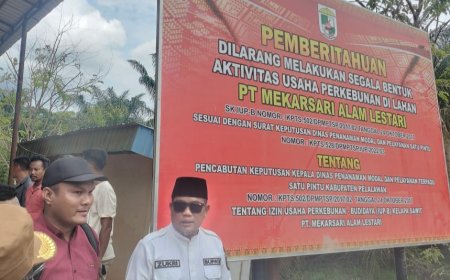 BUMN Agrinas Garap Lahan Tanpa Izin, Pemkab Pelalawan Bersurat