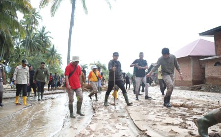 Percepat Pemulihan Pasca-Banjir di Kota Padang, Wamendagri Bima Koordinasikan Bantuan Alat Berat dan Damkar