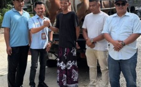Koptan Kampar Jaya dan PT Agrinas Palma Nusantara Salurkan Hewan Kurban Sambut Idul Adha 1447 H
