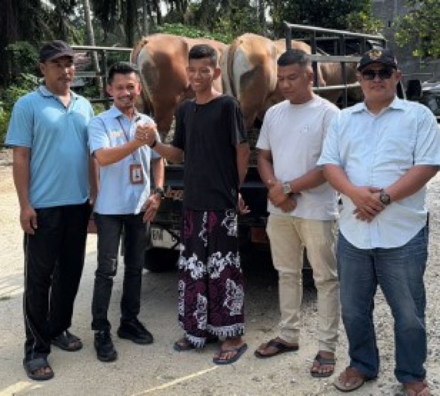 Koptan Kampar Jaya dan PT Agrinas Palma Nusantara Salurkan Hewan Kurban Sambut Idul Adha 1447 H